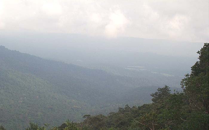 เขาใหญ่,ที่ดินเขาใหญ่,khaoyailand,kaoyailand,land for sale